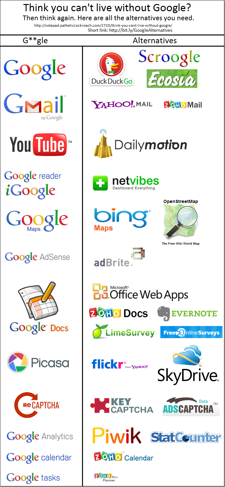 Google Alternatives Infographics 